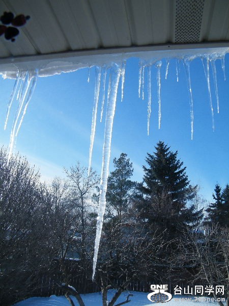 DSCF6172.JPG