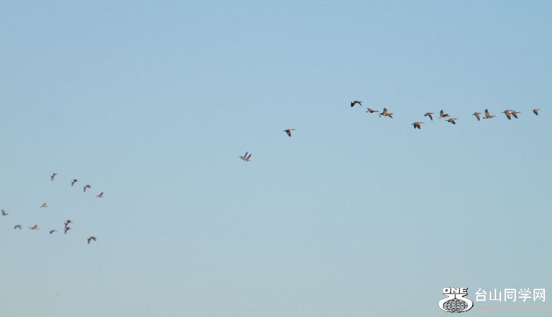 DSCF4414.JPG