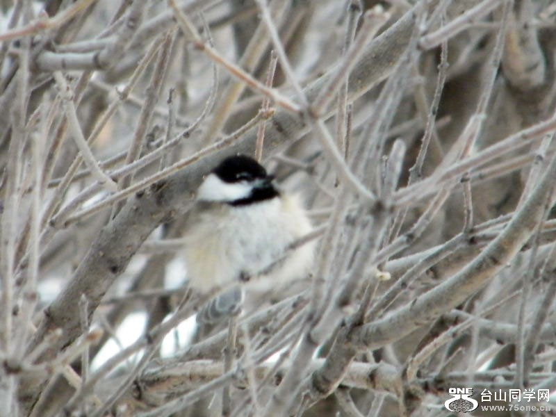 DSCF5982.JPG