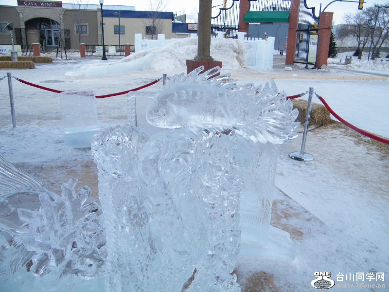 DSCF6209.JPG
