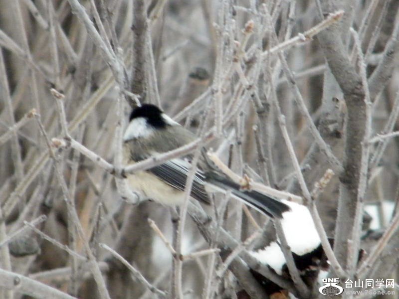 DSCF5987.JPG