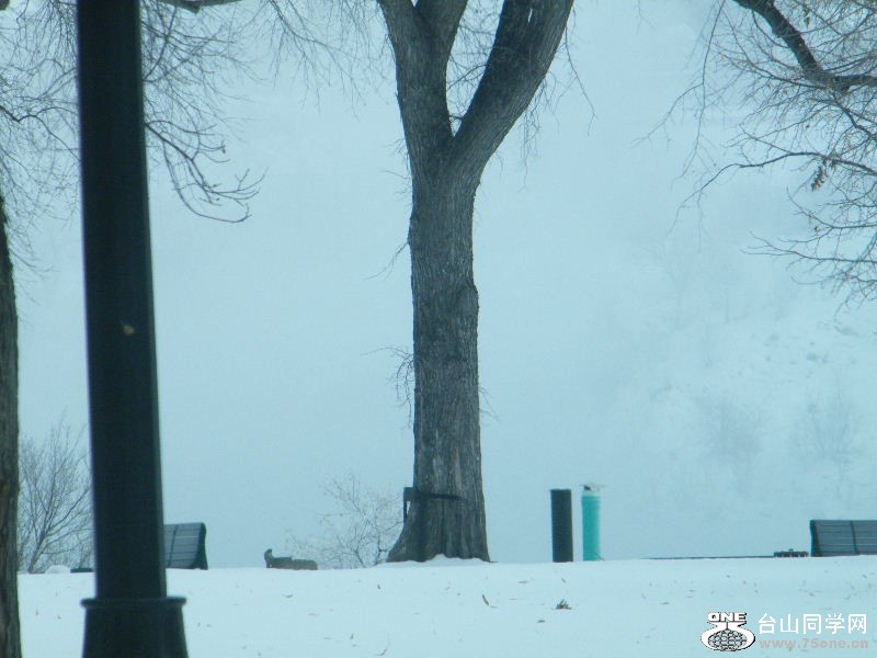 DSCF6230.JPG