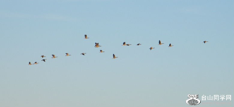 DSCF4416.JPG