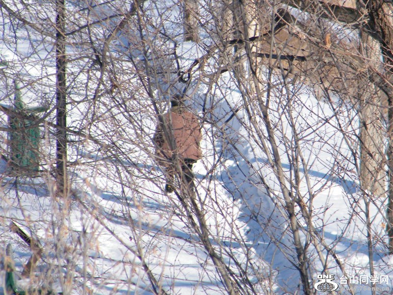 DSCF6045.JPG