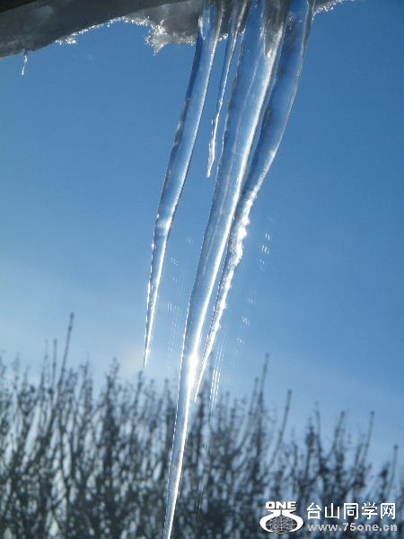 DSCF6170.JPG