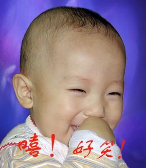 83855_2355693_111.jpg
