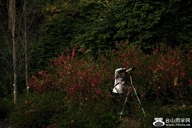 Ƭ 079.jpg