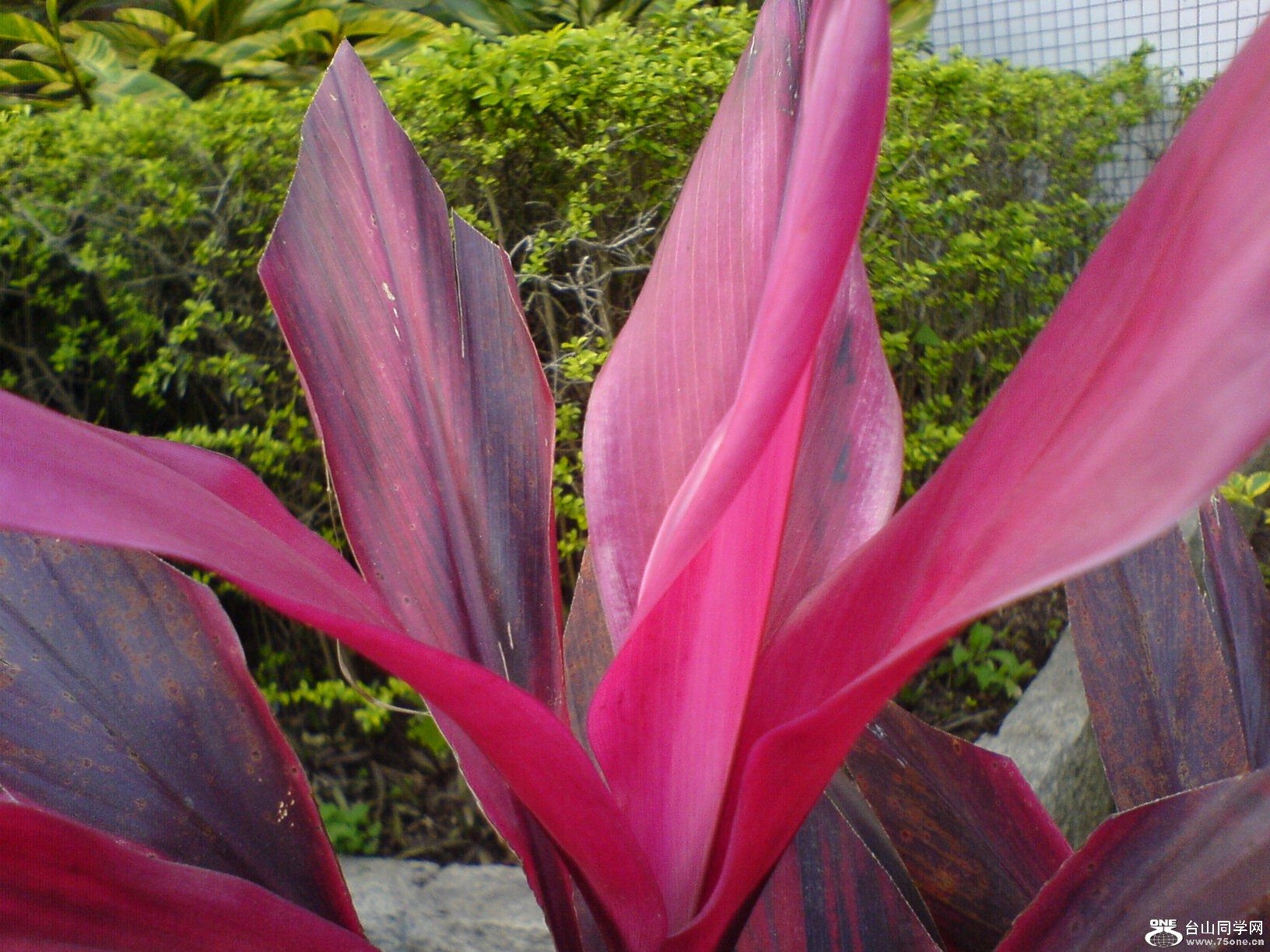 DSC05384.JPG