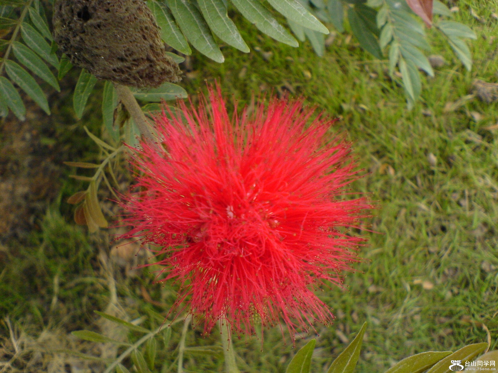 DSC05441.JPG