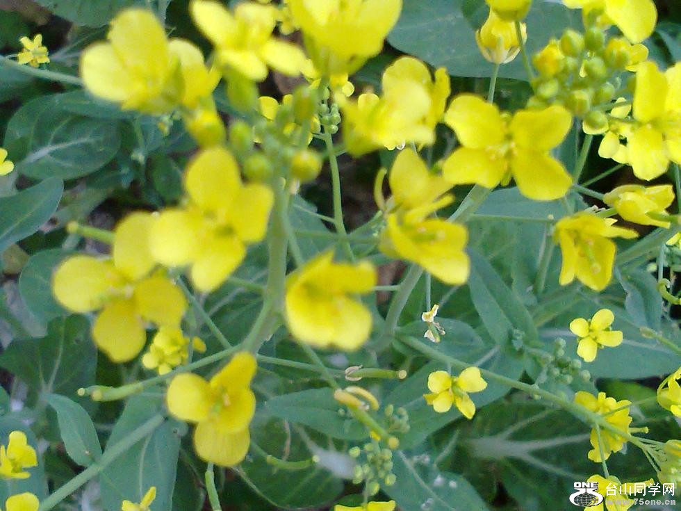 20110210476.jpg