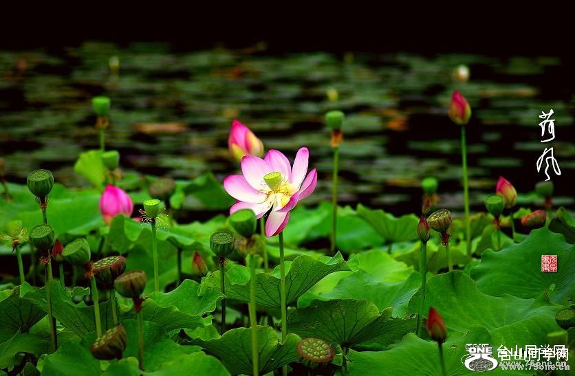 201087175.jpg