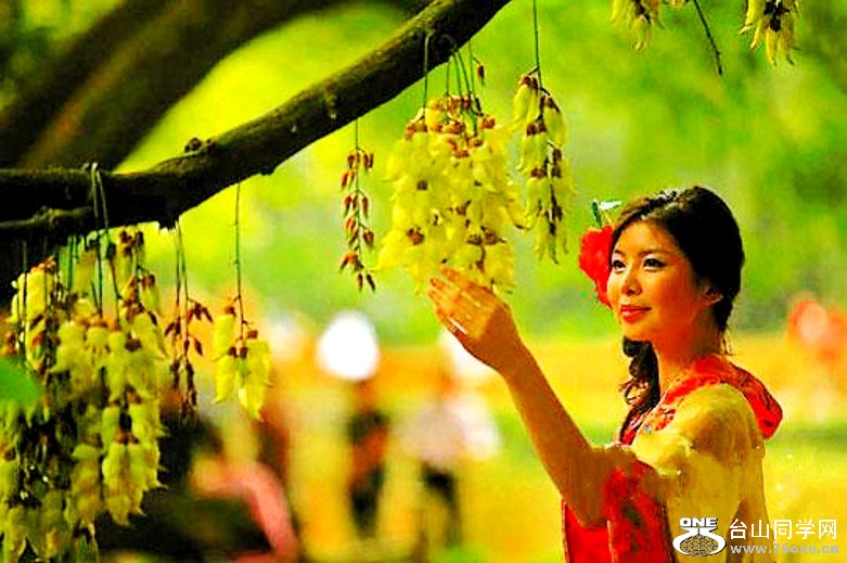 U3405P704DT20100316143303_conew1.jpg