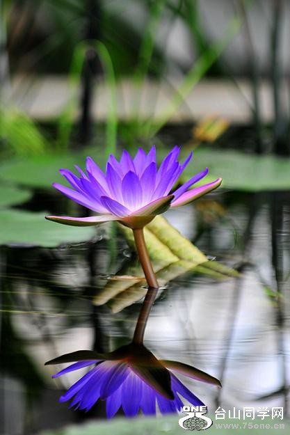 DSC_6569.jpg