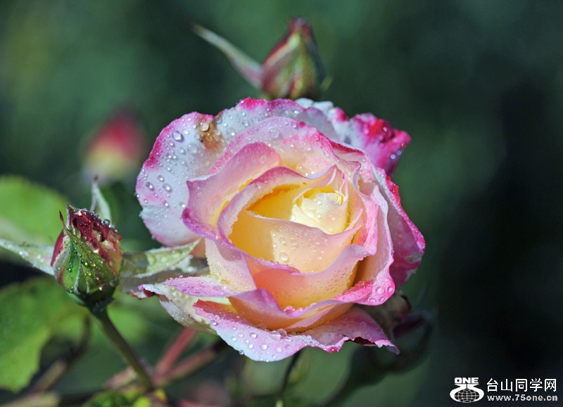DSC_6839.JPG