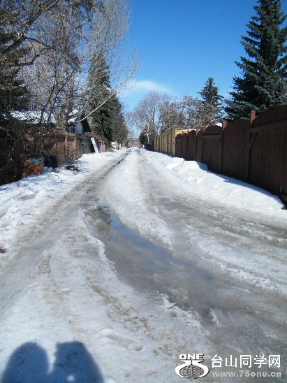 97.JPG