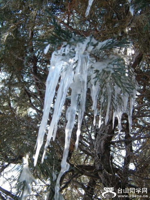 DSCF7385.JPG