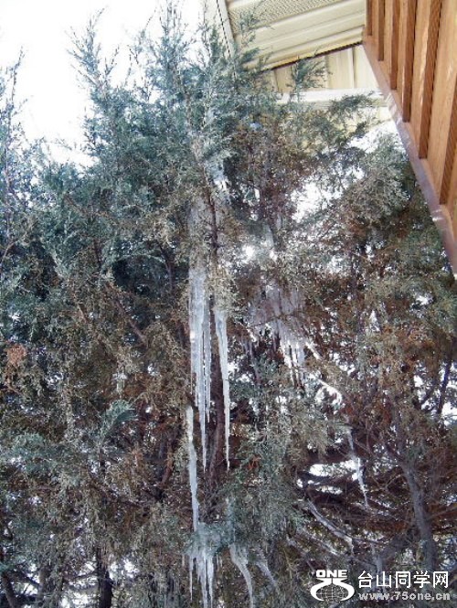 DSCF7382.JPG