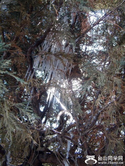 DSCF7386.JPG