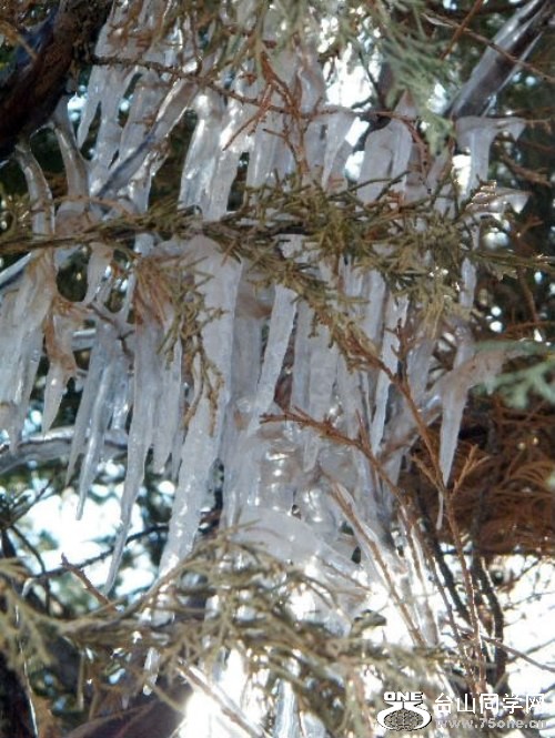 DSCF7389.JPG