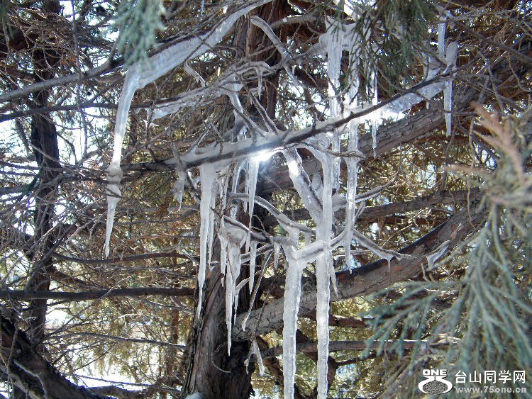 DSCF7391.JPG