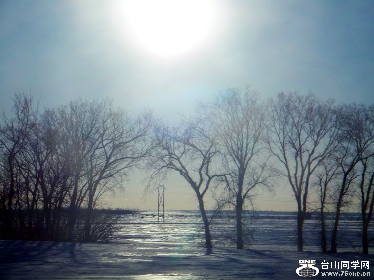 DSCF6567=.jpg