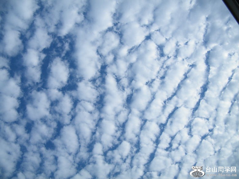 DSCF4475.JPG