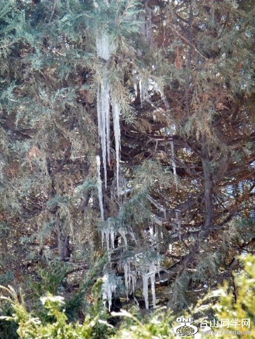 DSCF7393.JPG