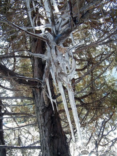 DSCF7384.JPG