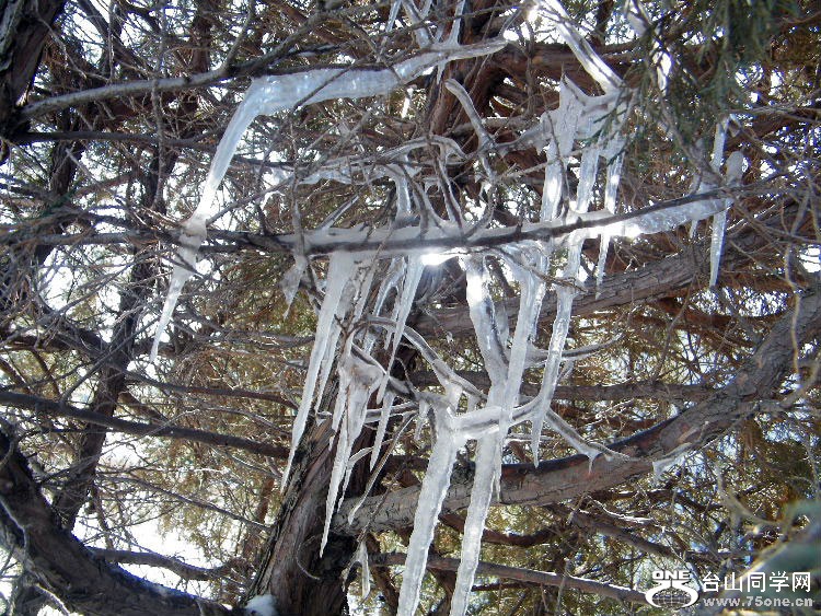 DSCF7383.JPG