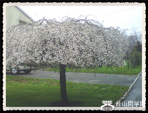 IMG00121-20110413-134012_.jpg