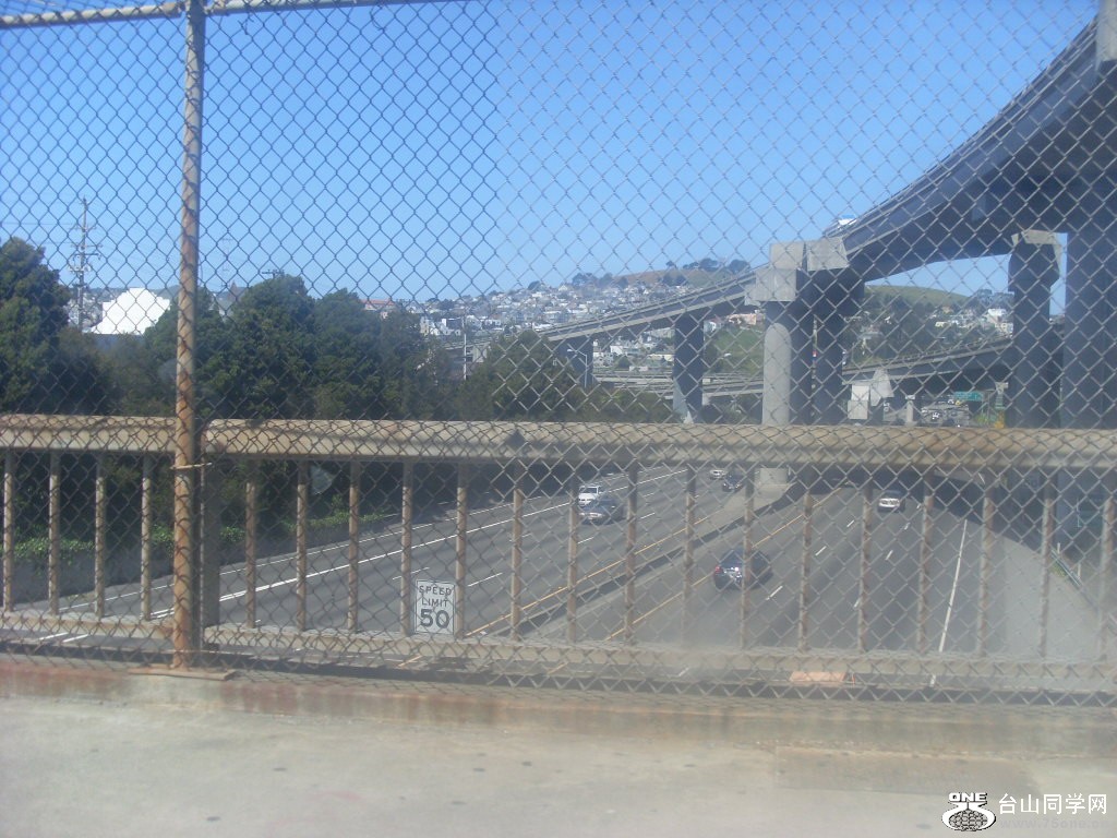 New Picture 514.jpg