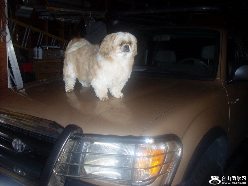 New Picture 505.jpg