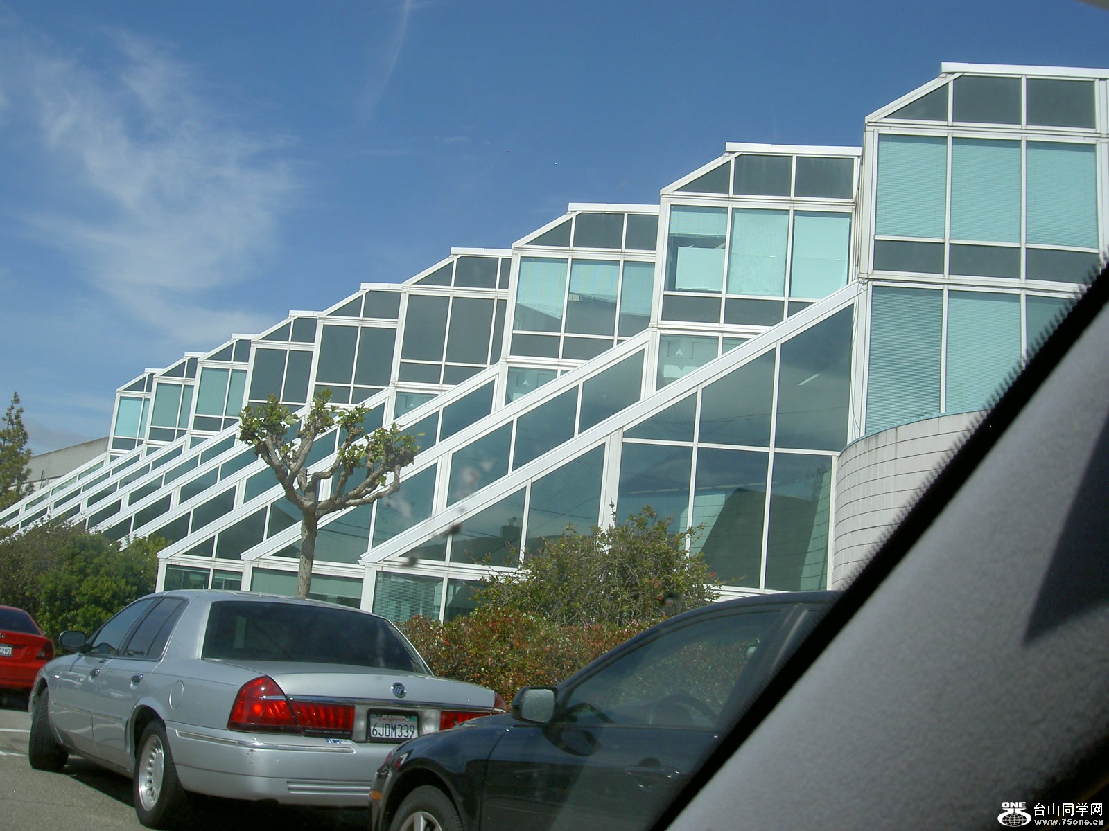 New Picture 1 261.jpg