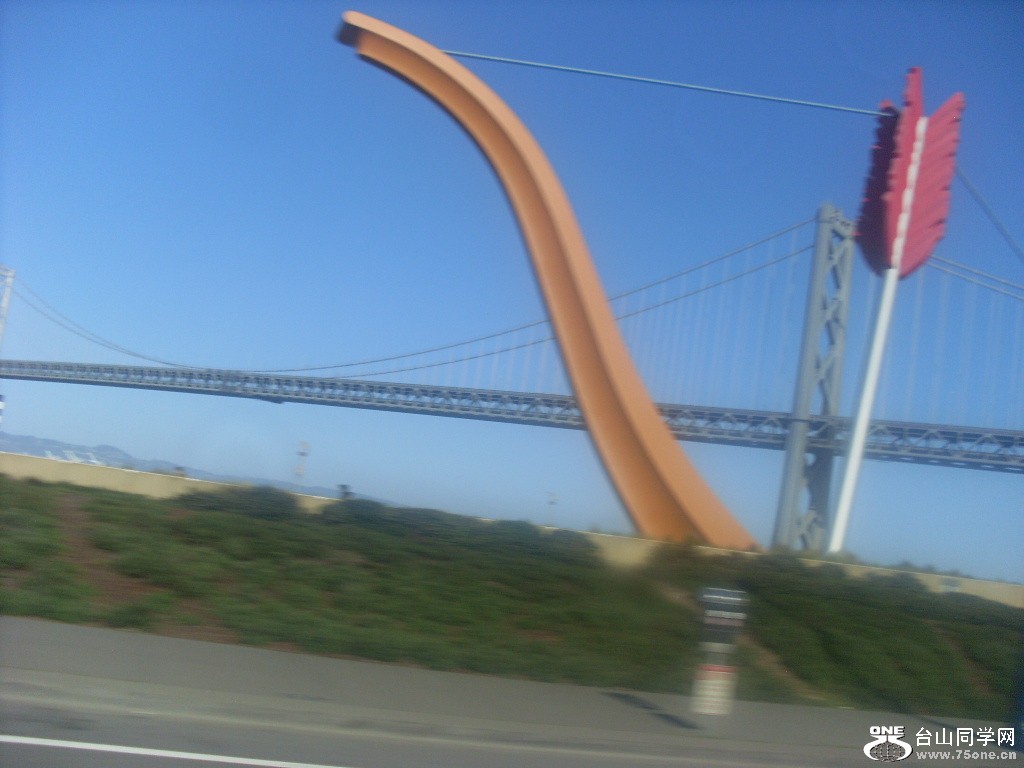New Picture 578.jpg
