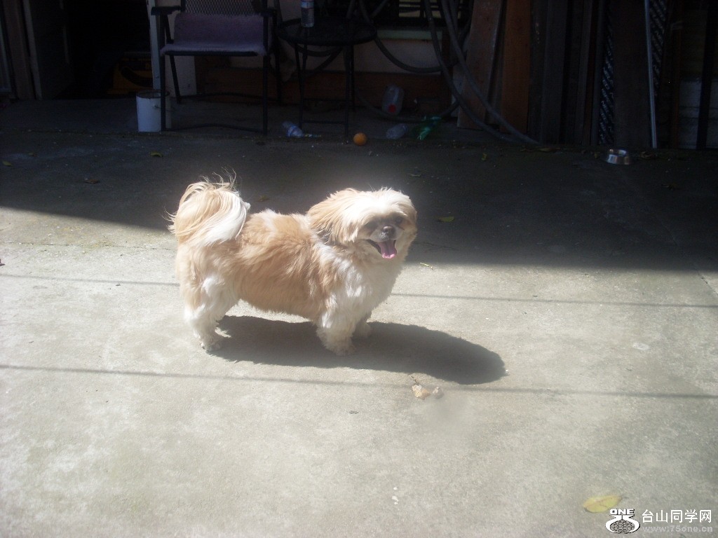 New Picture 485.jpg