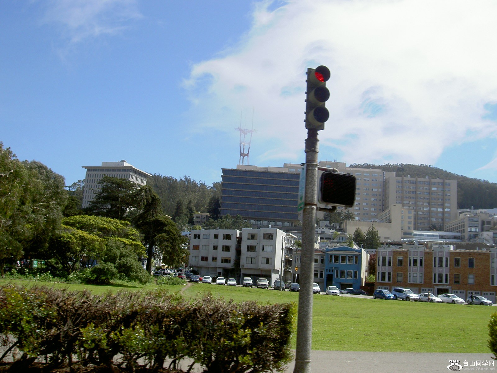 New Picture 1 259.jpg