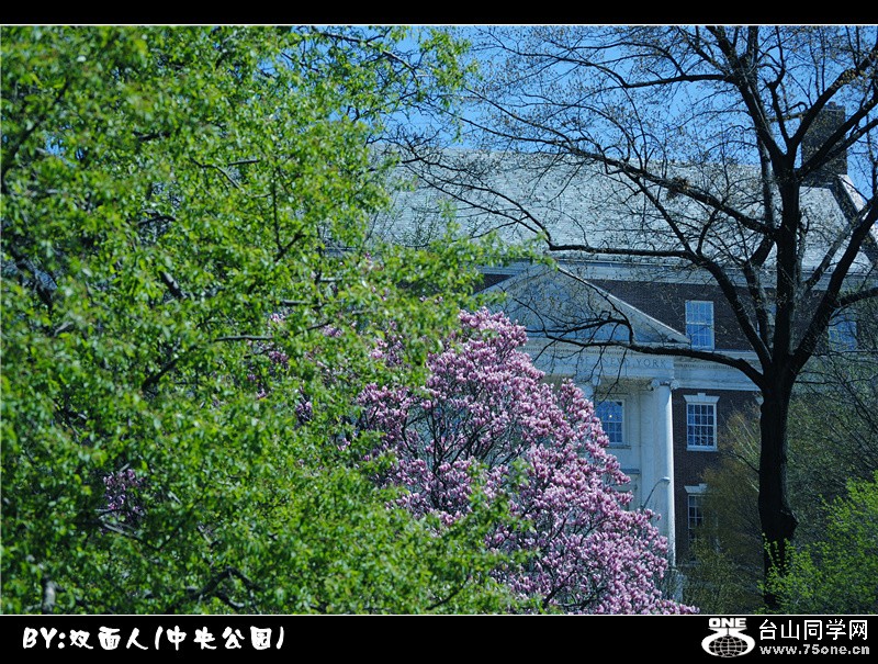 Picture 052_.jpg