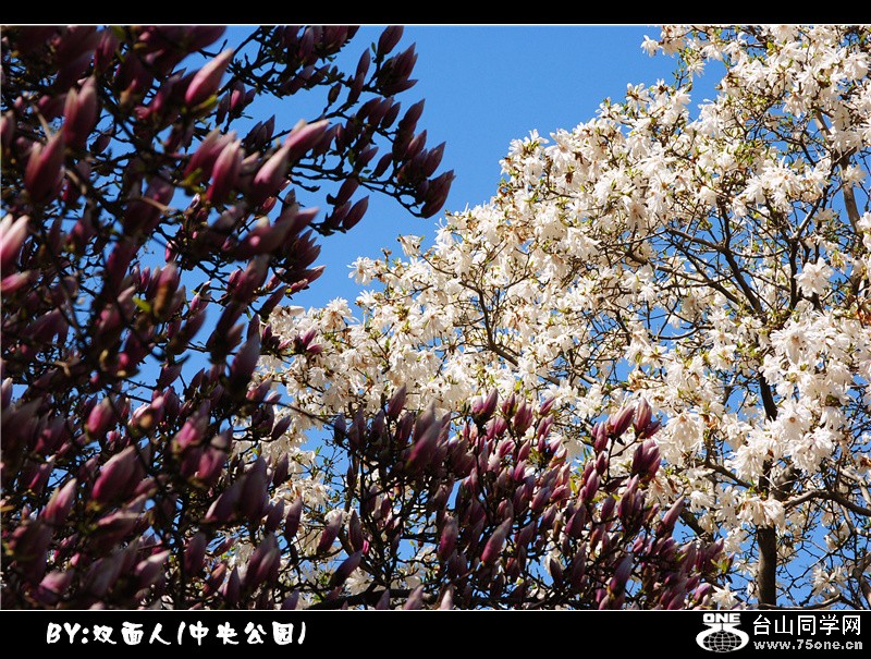 Picture 072_.jpg