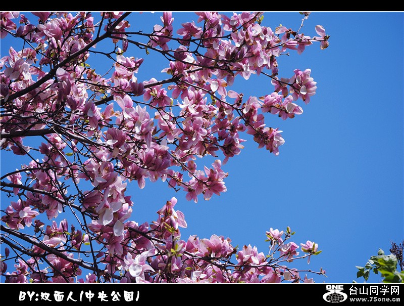 Picture 050_.jpg