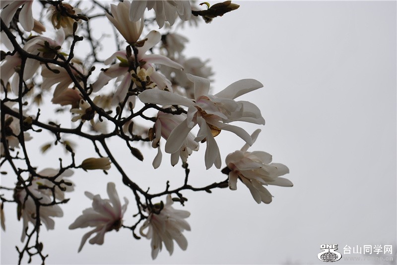 Picture 163_.jpg