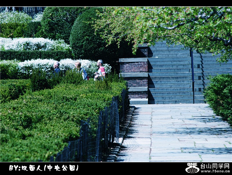 Picture 031_.jpg