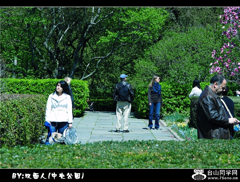 Picture 073_.jpg