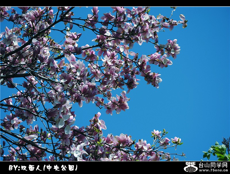 Picture 056_.jpg