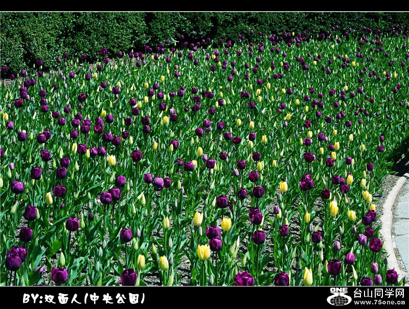 Picture 038_.jpg