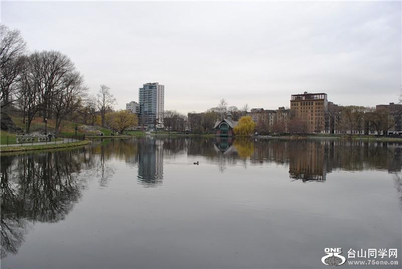 Picture 205_.jpg