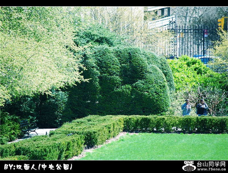 Picture 032_.jpg