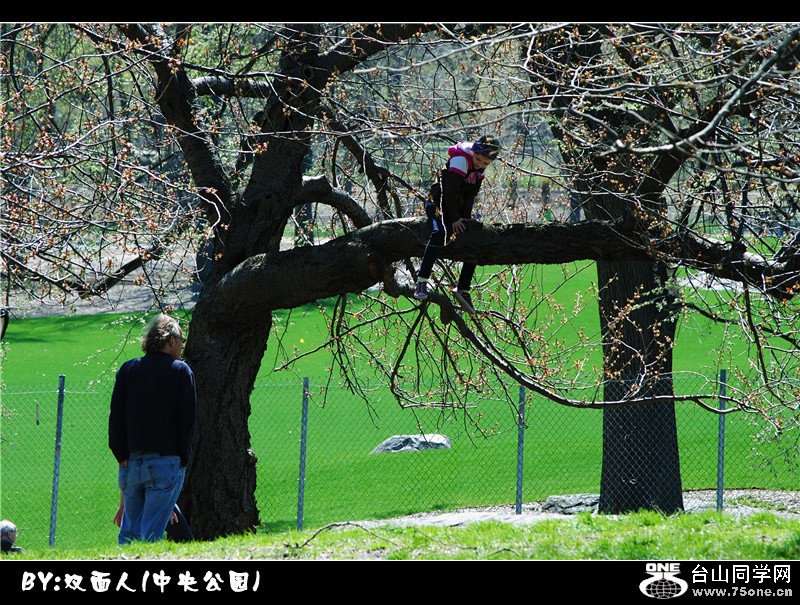 Picture 066_.jpg