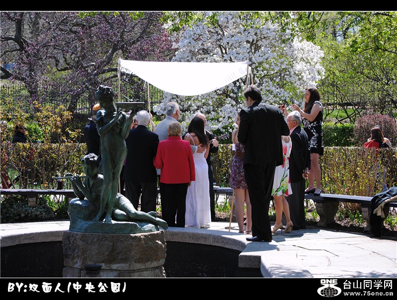 Picture 051_.jpg