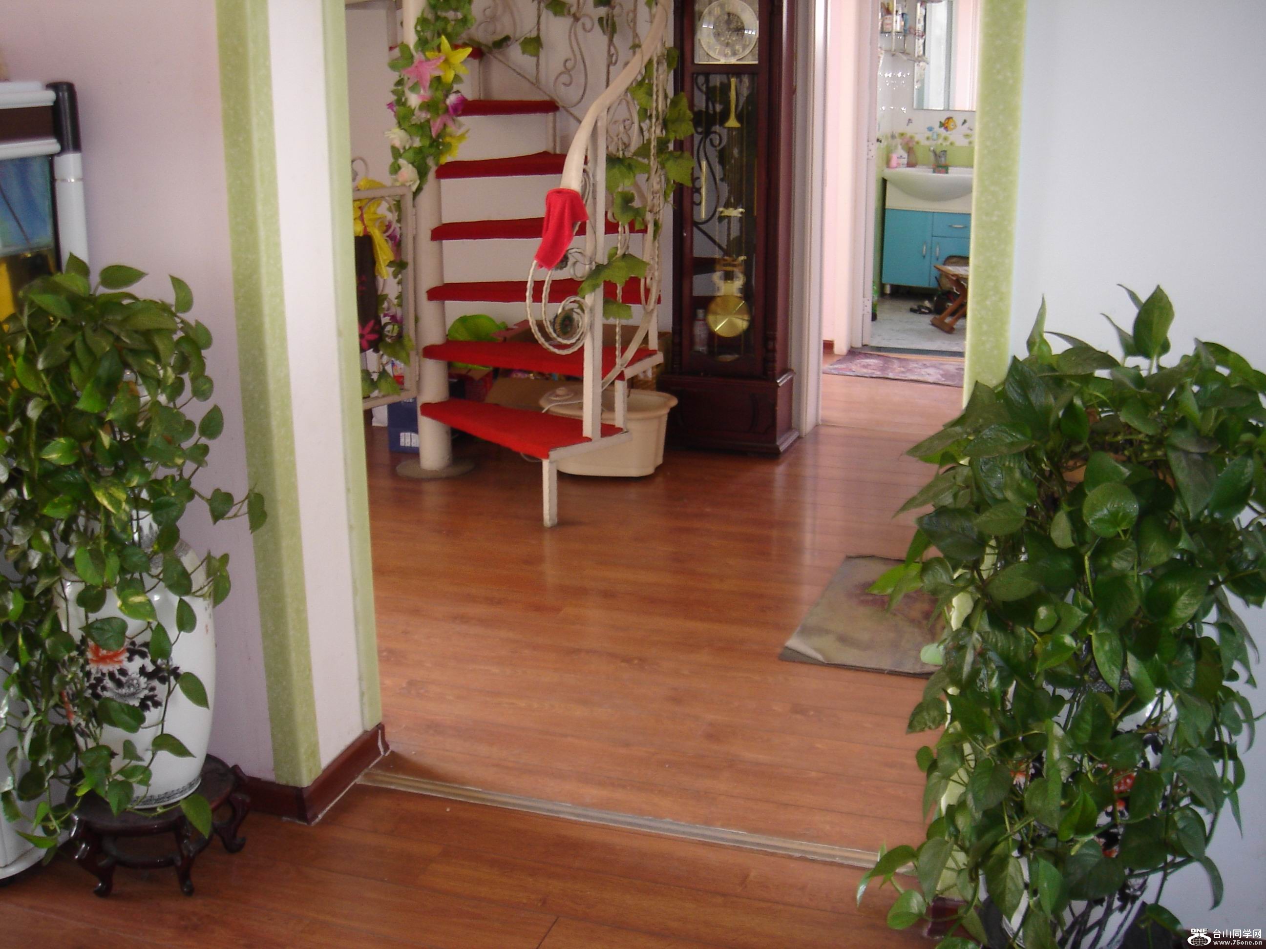 DSC09976.jpg