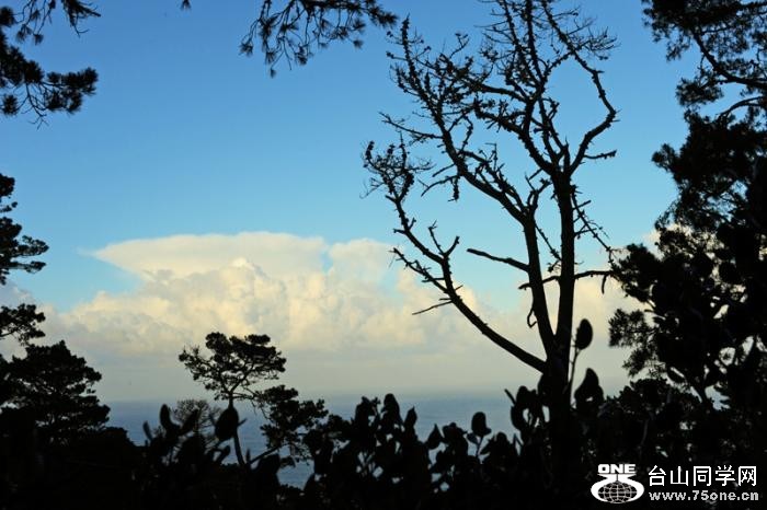 105_35102_c4e2fd26312f65d[1].jpg